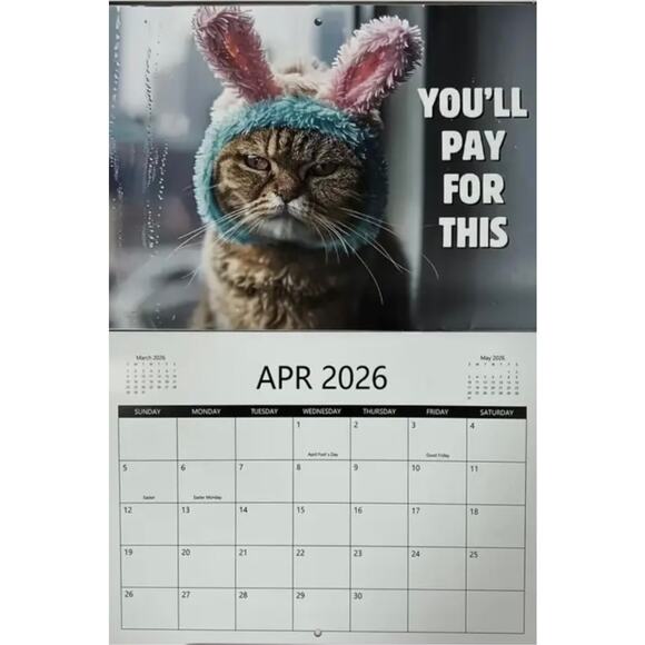 2026 Pissed Off Cats Calendar Funny - Picture 3 of 8